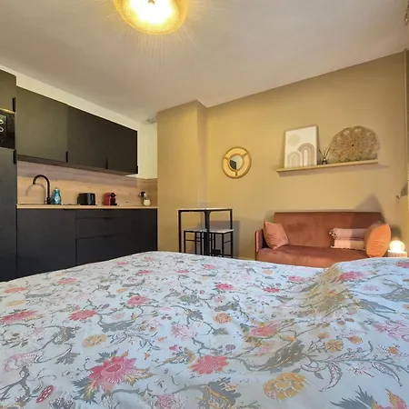 Camaieu Hypercentre Parking Prive Apartment Rouen