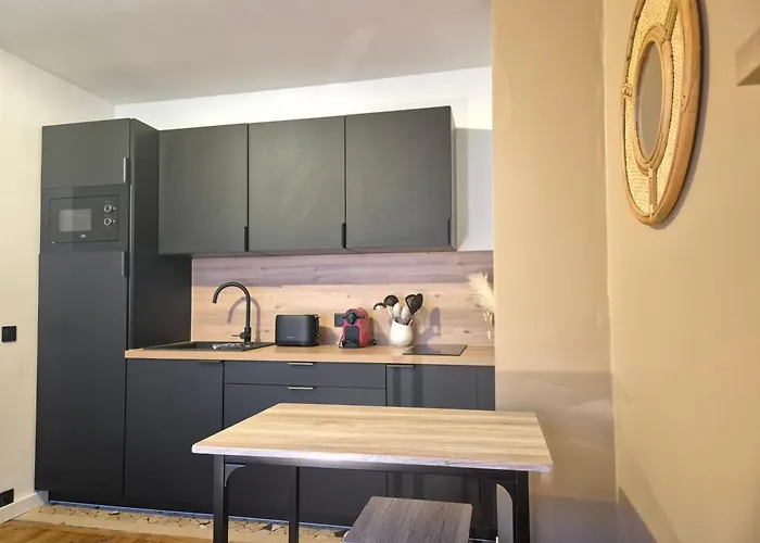 Apartment Camaieu Hypercentre Parking Prive *