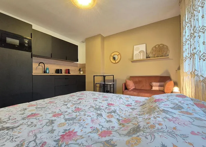 Camaieu Hypercentre Parking Prive Apartment Rouen