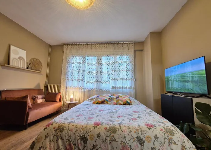 Camaieu Hypercentre Parking Prive Apartment Rouen