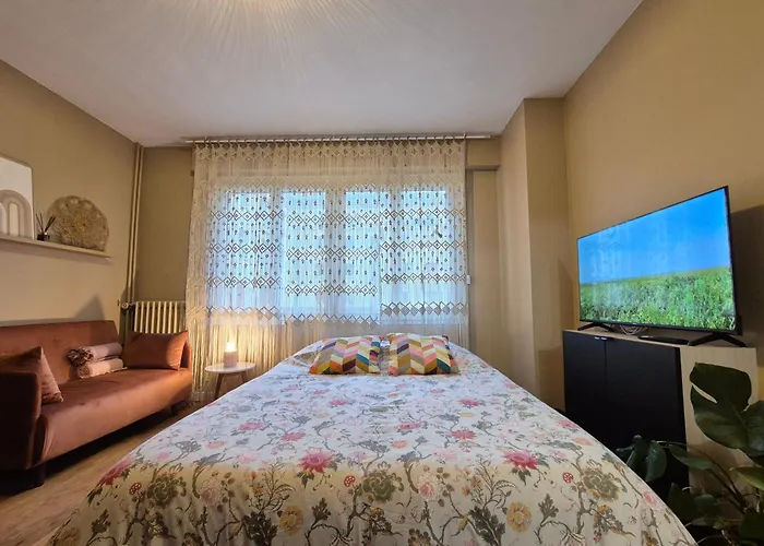 Apartment Camaieu Hypercentre Parking Prive *