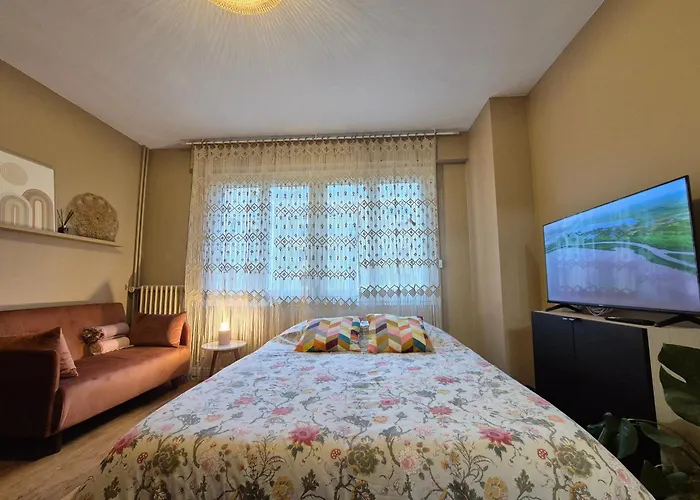 Apartment Camaieu Hypercentre Parking Prive *